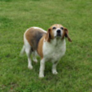 Meet your Posher, Keith